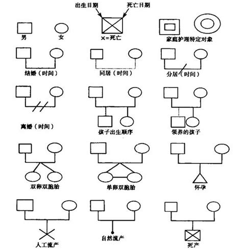 家庭圖關係線|家系圖符號 